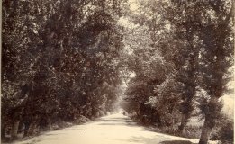 Eixo Antigo &Aacute;lbum 1